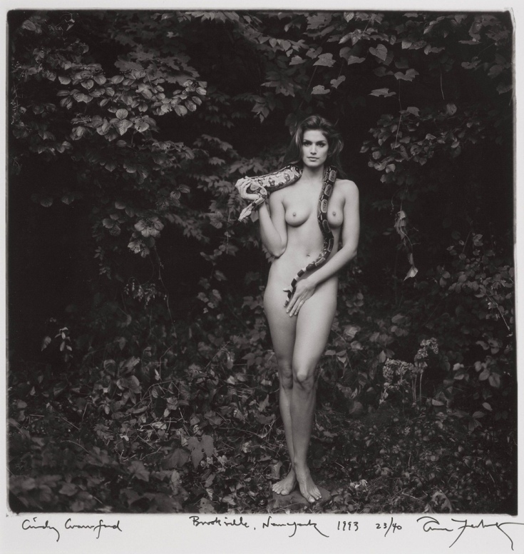 Слив фото Синди Кроуфорд американская модель википедия горячие интим фото