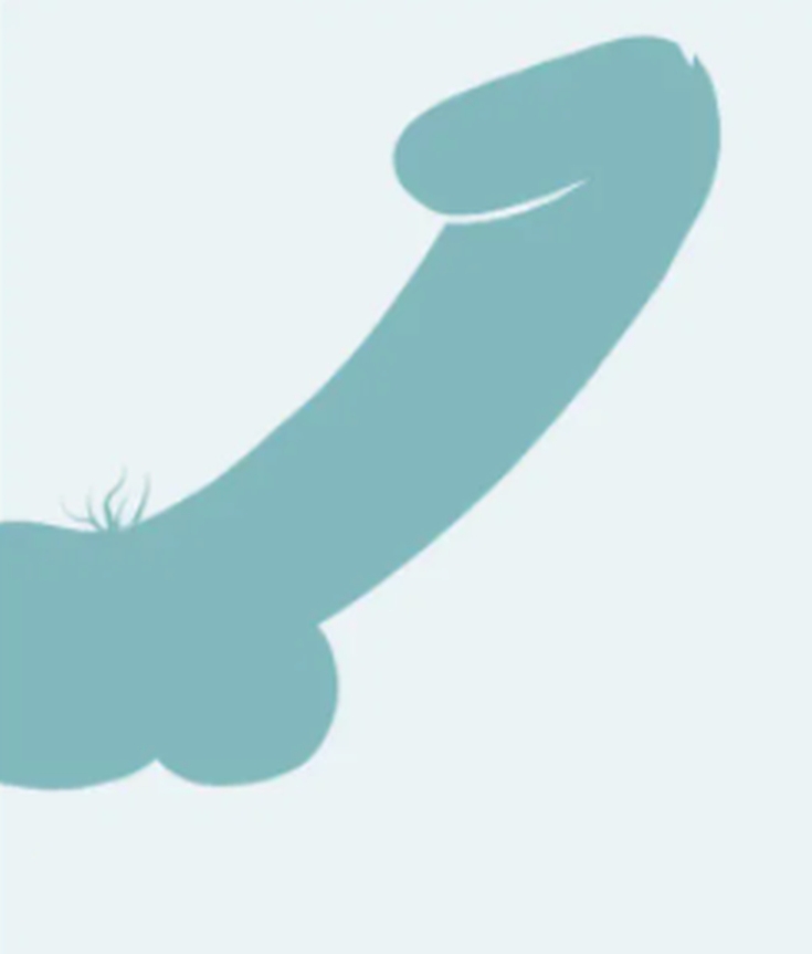 (+15 фото) Член — двадцать видов мужского пениса в картинках