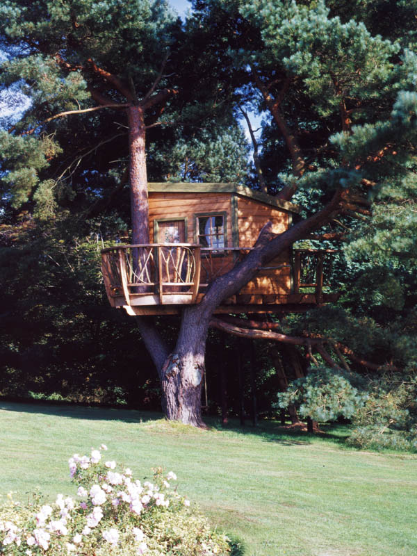 необычные дома на деревьях