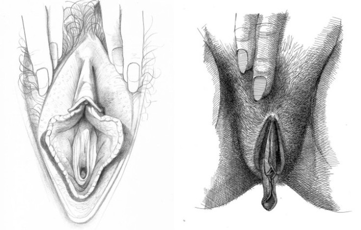 Красивые вагины сиповки (58 фото)